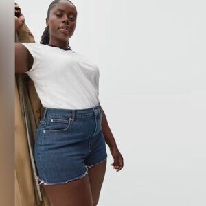 Everlane The Way High Denim Short